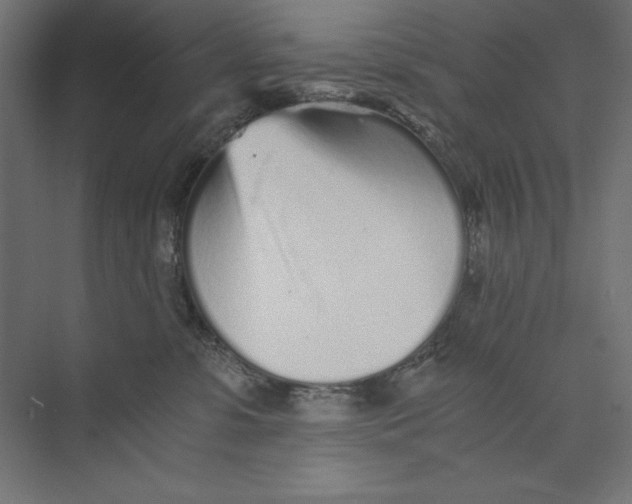 X0000073840331200609071547