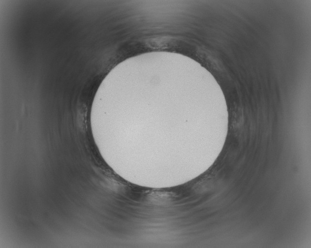 X0000073840332200609071547