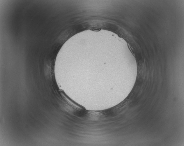 X0000073840333200609071547