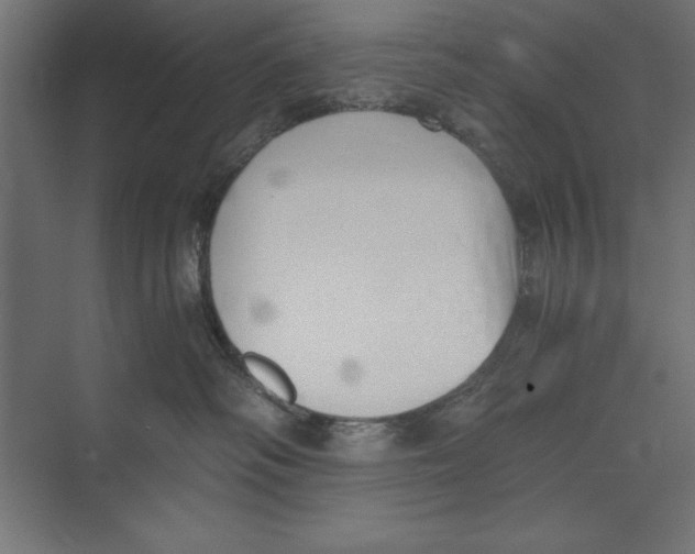 X0000073840334200609071547