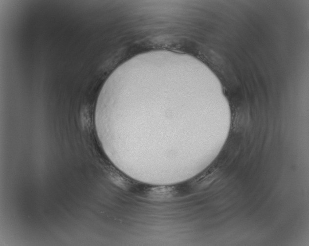 X0000073840335200609071547