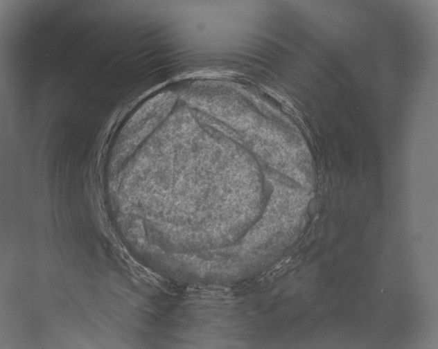 X0000073840337200609071547