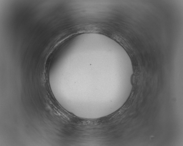 X0000073840338200609071547