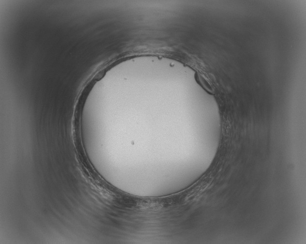 X0000073840340200609071547