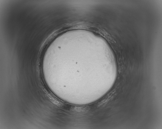 X0000073840341200609071547