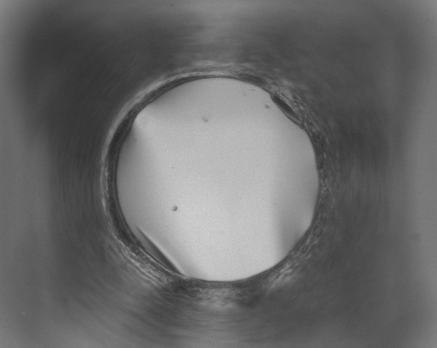 X0000073840342200609071547