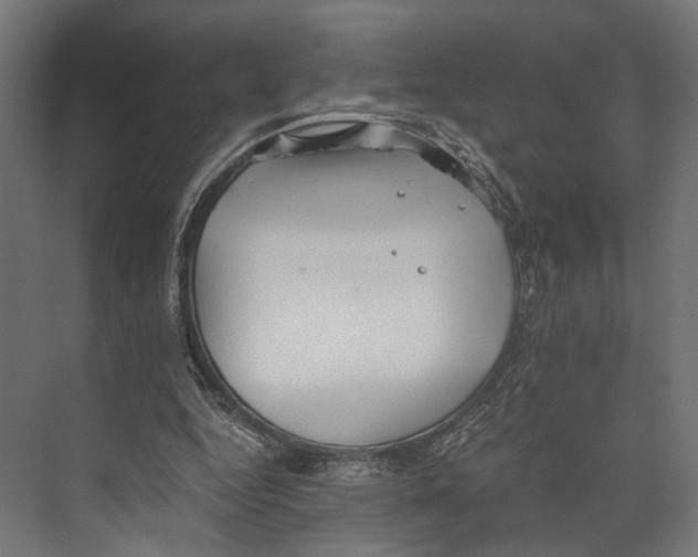 X0000073840344200609071547