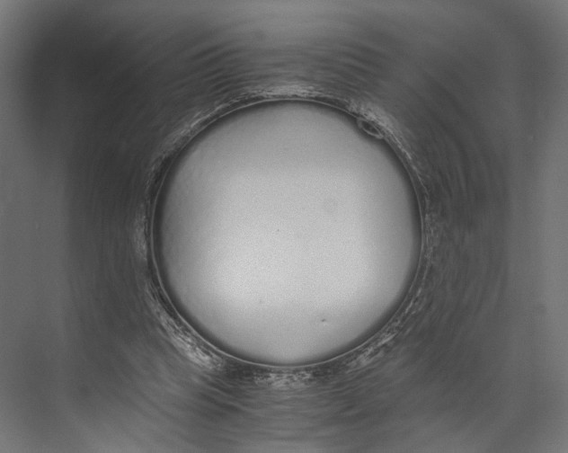 X0000073840345200609071547