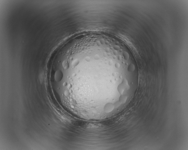 X0000073840346200609071547