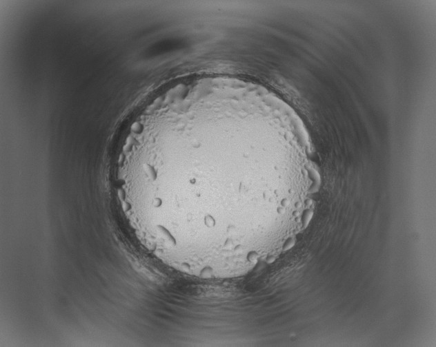 X0000073840347200609071547