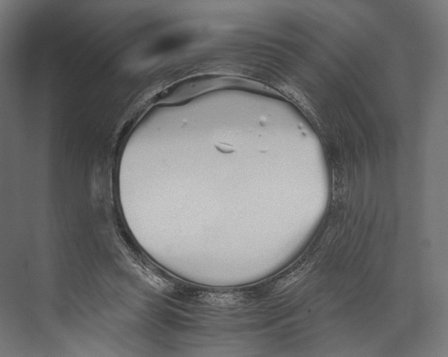 X0000073840349200609071547