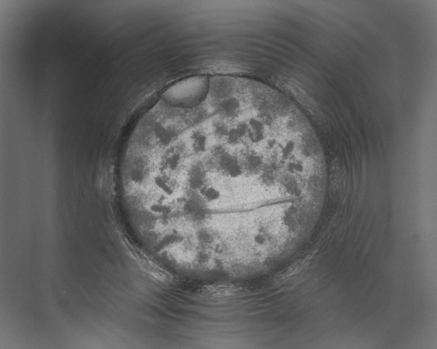 X0000073840351200609071547