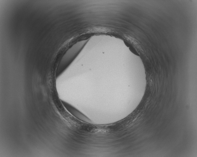 X0000073840352200609071547