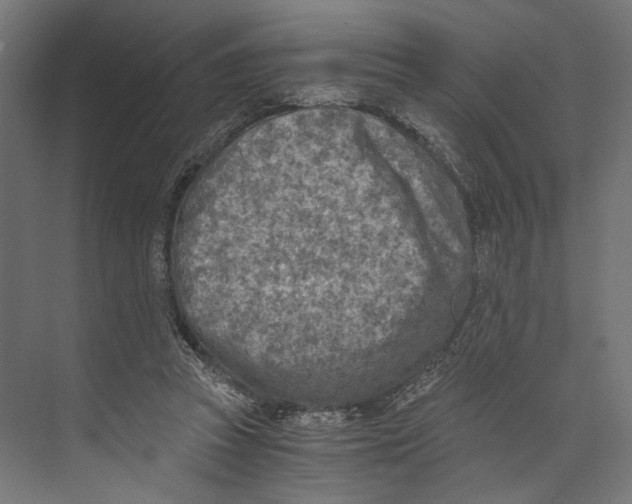 X0000073840353200609071547