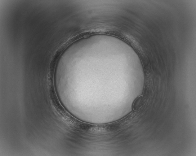 X0000073840354200609071547