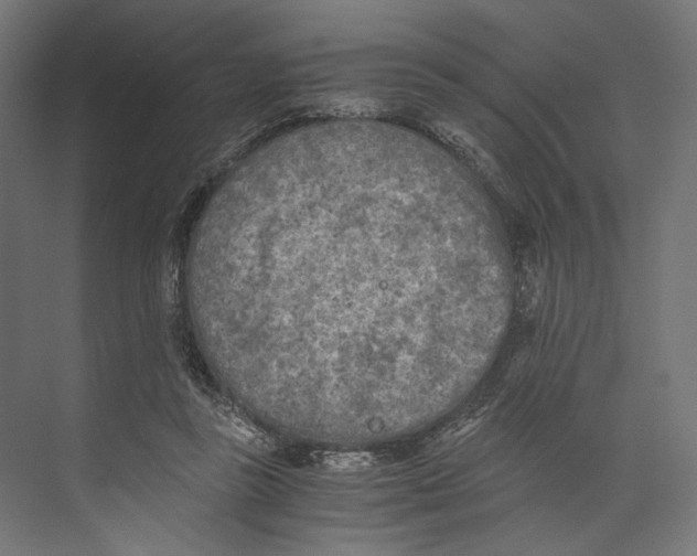 X0000073840355200609071547