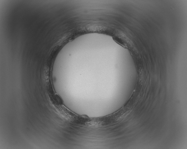 X0000073840356200609071547