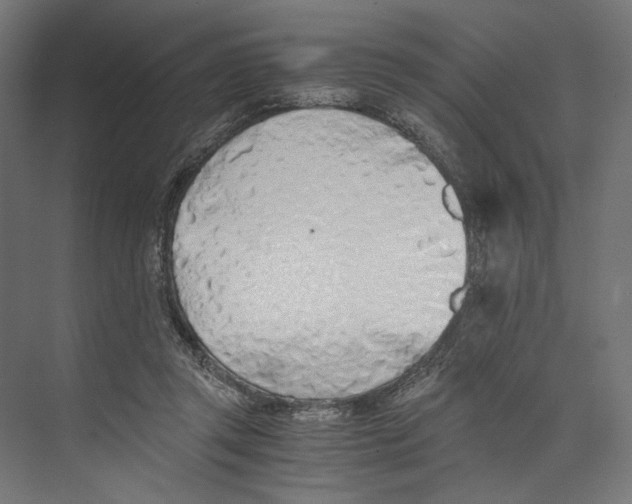 X0000073840357200609071547