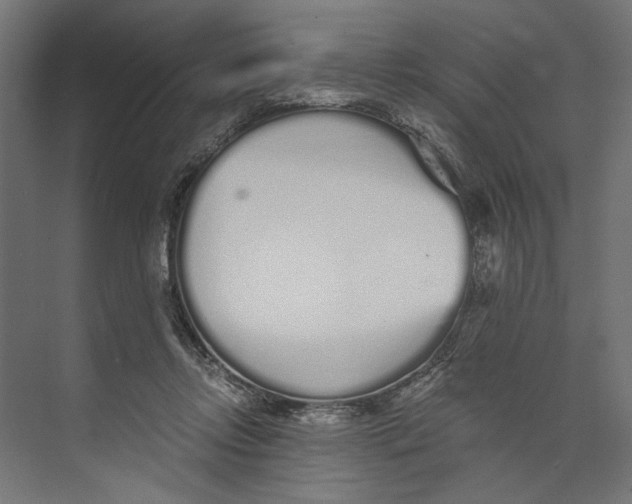 X0000073840358200609071547