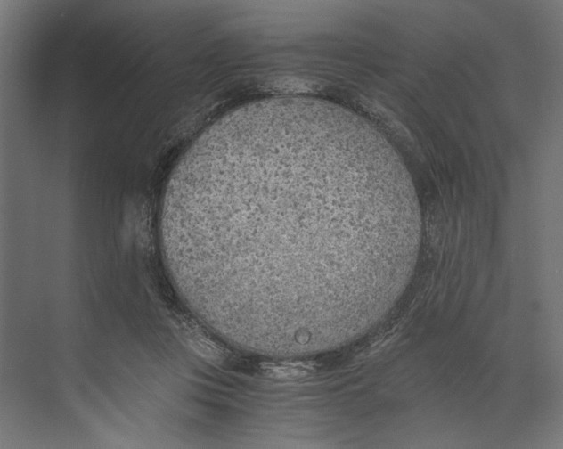 X0000073840359200609071547