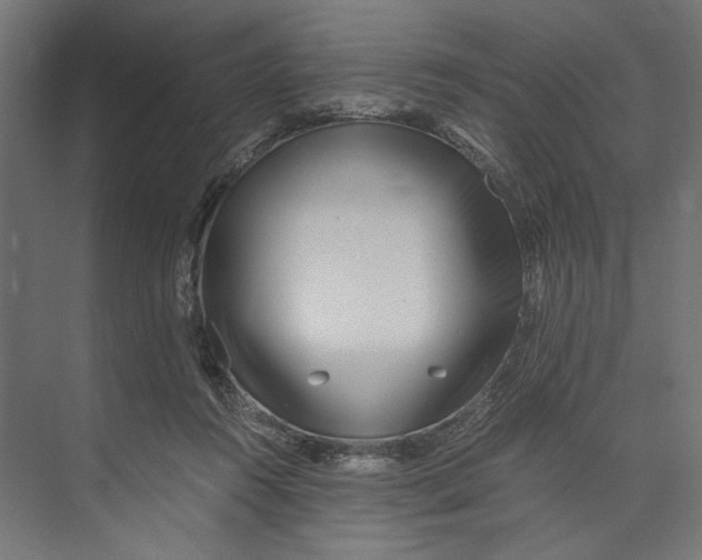 X0000073840360200609071547