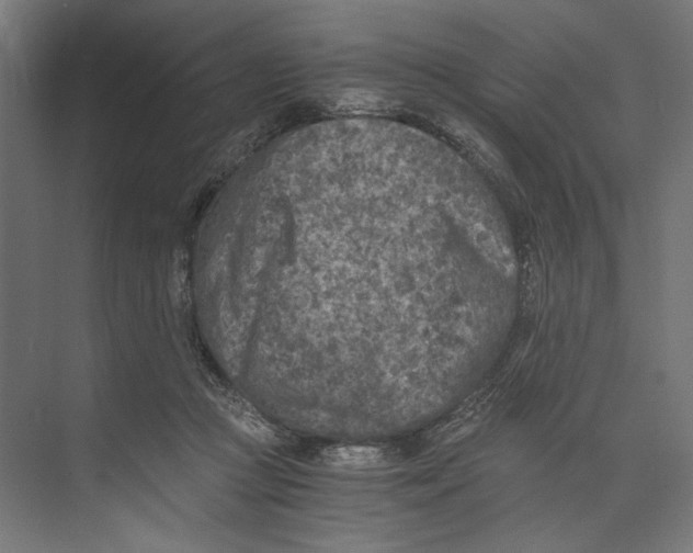 X0000073840361200609071547