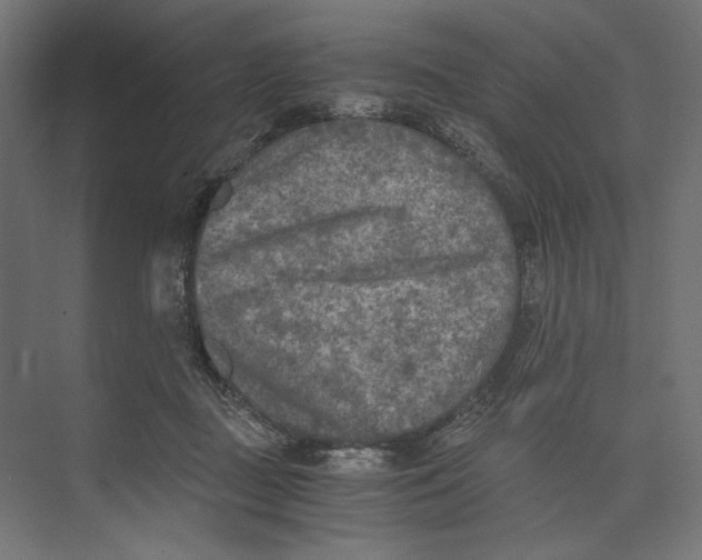 X0000073840363200609071547