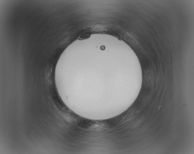 X0000073840364200609071547