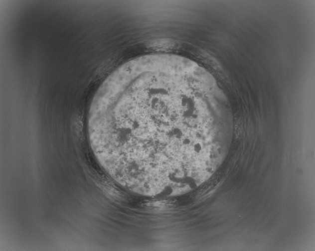 X0000073840365200609071547