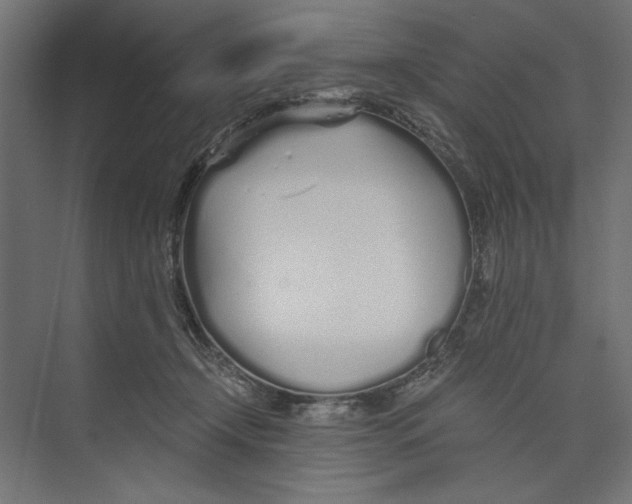 X0000073840366200609071547