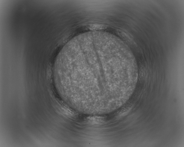 X0000073840367200609071547