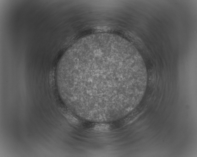 X0000073840369200609071547