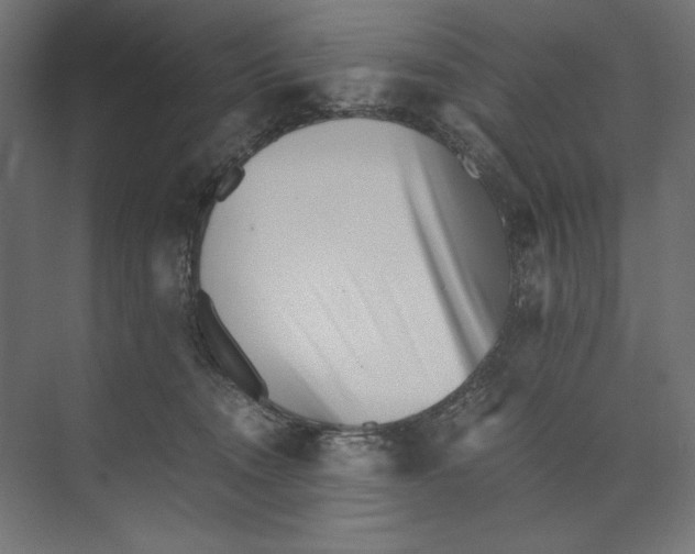 X0000073840372200609071547