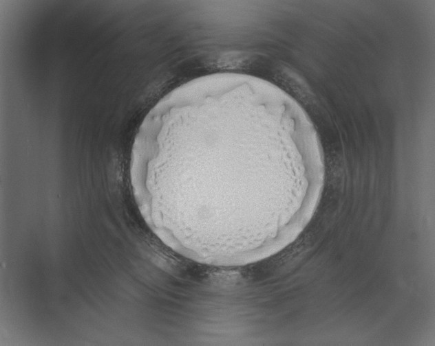 X0000073840374200609071547