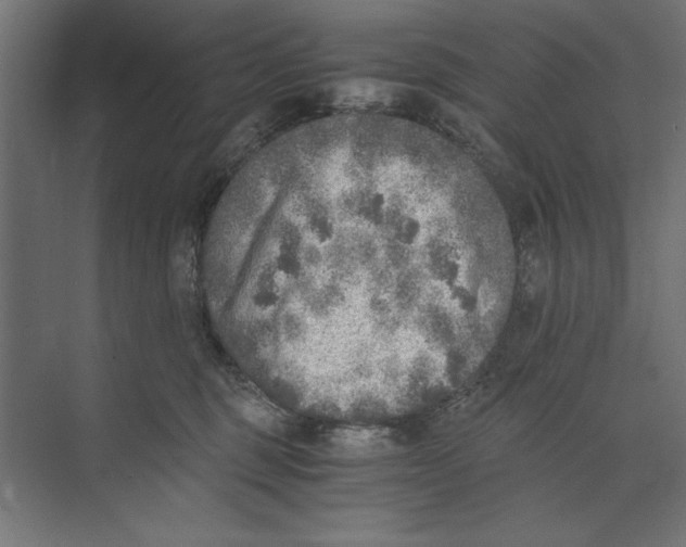 X0000073840375200609071547