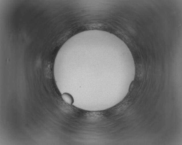 X0000073840378200609071547