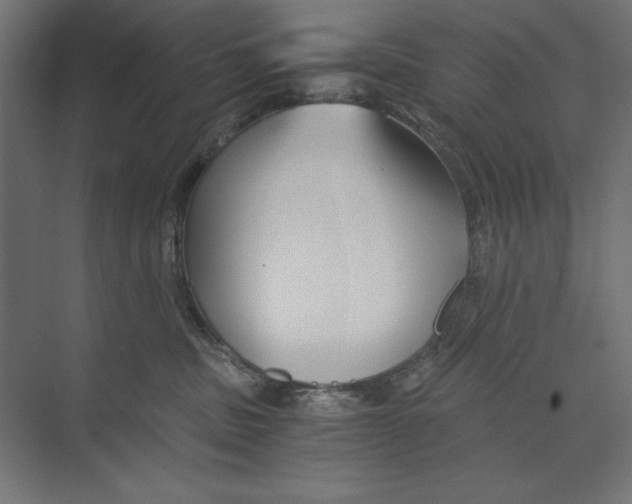 X0000073840379200609071547