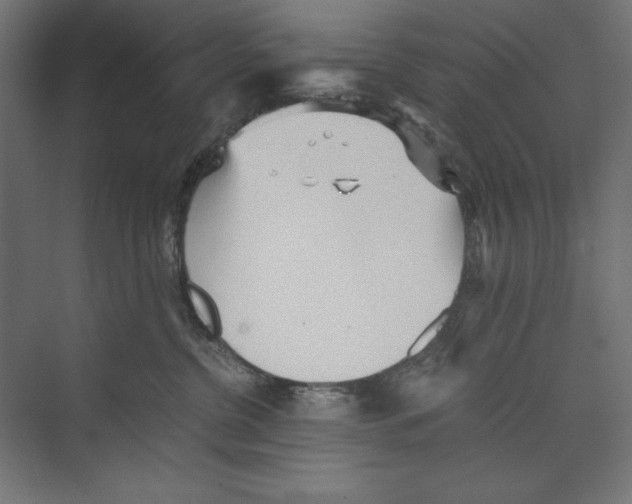 X0000073840380200609071547