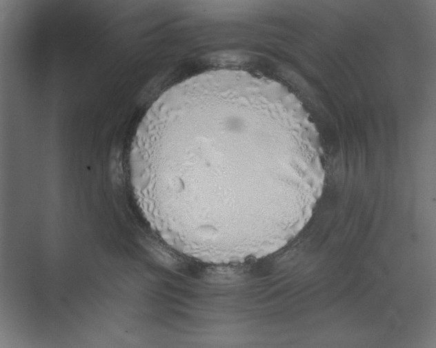 X0000073840381200609071547