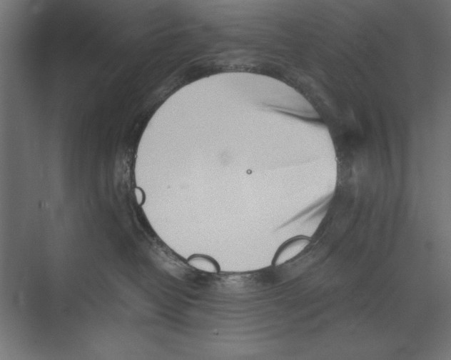 X0000073840382200609071547