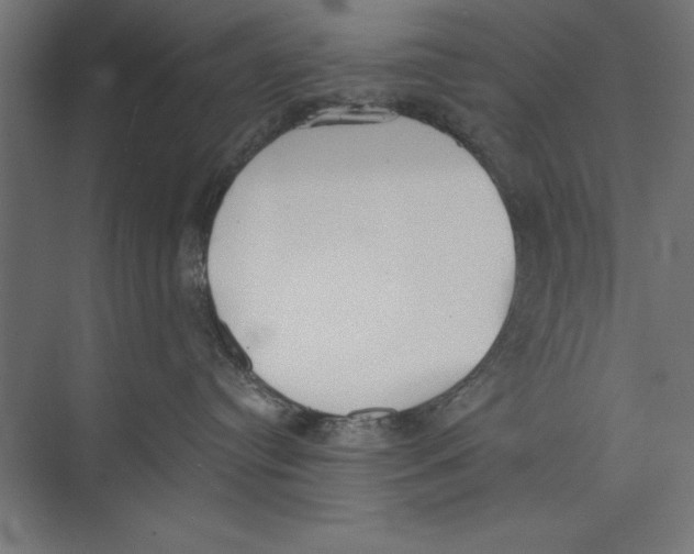 X0000073840384200609071547