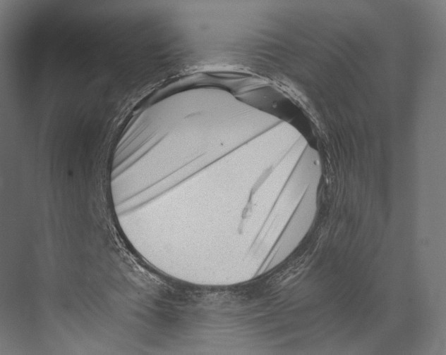 X0000073840385200609071546