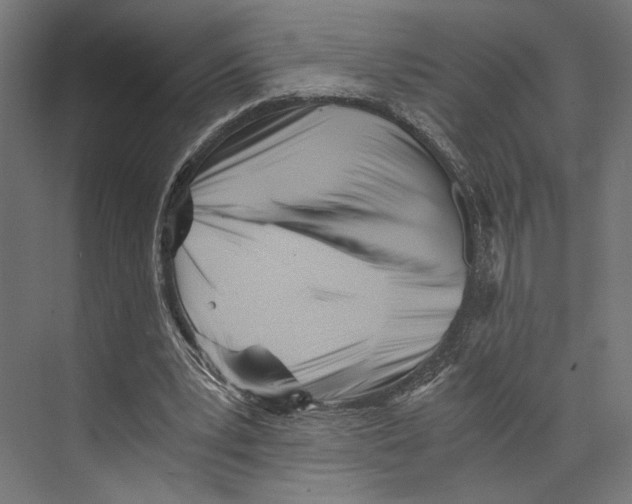 X0000073840391200609071546