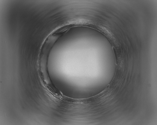 X0000073840392200609071546