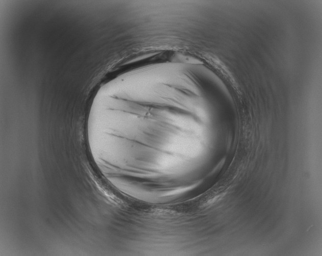 X0000073840393200609071546