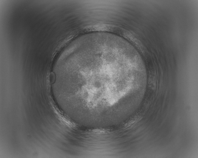 X0000073840394200609071546