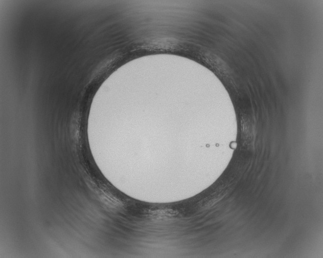 X0000073840396200609071546