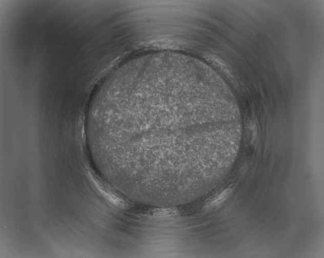 X0000073840398200609071546