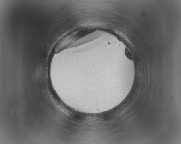 X0000073840399200609071546