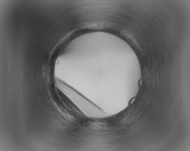 X0000073840400200609071546